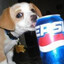 PepsiDog