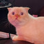 ☭✵Mr.Piffles✵☭