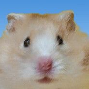 美味的小耗子MOUSE