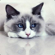 从一片落叶开始