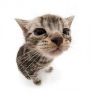 Тебя повредить7?77?