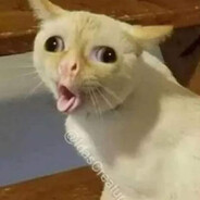 Low cortizol