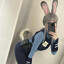 MsJudyHopps