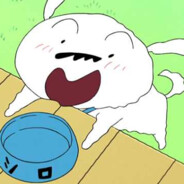 春日部警卫队野原小白