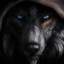 Dark wolf