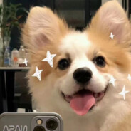 不止玫瑰有爱意