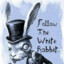 TheWhiteRabbit