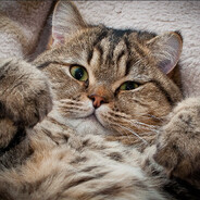 579 - steam id 76561199035843288