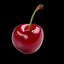 mollor