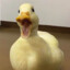 Ja Krispy Bird™