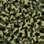 161161161161161161161