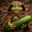 Frog the Toad
