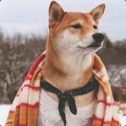 党不住 出本子/等级