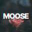 Moose_YT