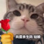 登傲天