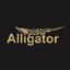 Alligator