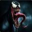 Venom_itapira_sp