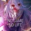 no game no life