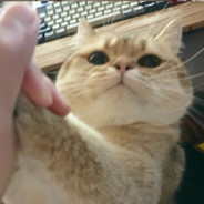 185腹肌男机长全国可飞