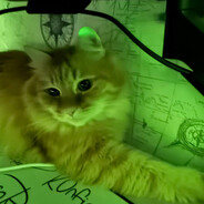 mentality problem - steam id 76561199680106587