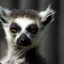 MR_Lemur