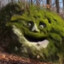 GreenJacket