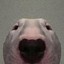 Hollowspencer