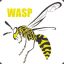 Wasp