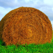 Haybale