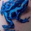 FrogTattooed