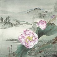 用飘柔就是这么自信！！