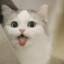우유