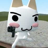 injected - steam id 76561197963493070