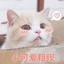 星河寻年华(爆龙战士)