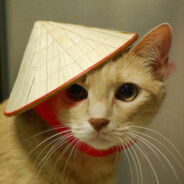 i cant load this game