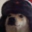 Skipper