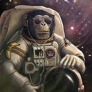 apeinspace