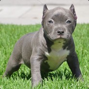 Мама_Сказала_Тащи