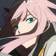 她的蝴蝶是黑色的