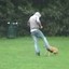 dog kicker