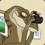 Photography Raptor