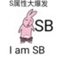 I am SB