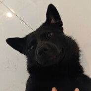 瓜中自有瓜中乐