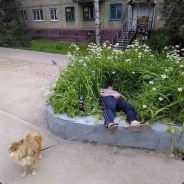 Rustam Ahmedov - steam id 76561197964522671