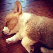 ___________别致的柔情❤