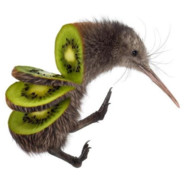 Pissed Kiwi