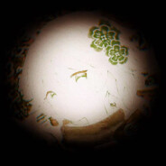 一个一个一个哈