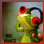 LaserEyedTreeFrog
