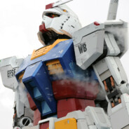 且听且看且随风