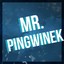 Mr. Pingwinek